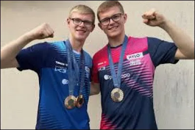 What are the first names of the Lebrun brothers?