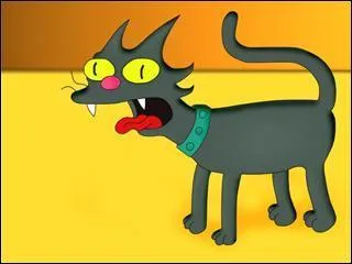 What's the cat's name?