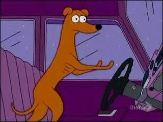 What's the dog's name?