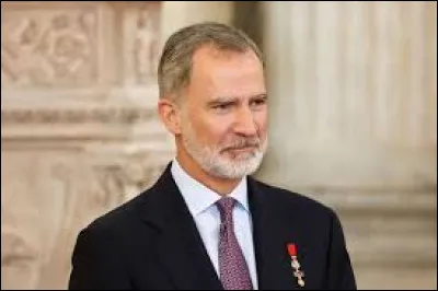 In this country, there is a king: Felipe VI.
