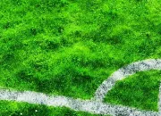 Quiz Culture générale (113)