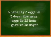Quiz IQ Test