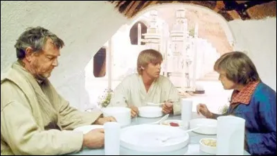 Who did Luke Skywalker live with before they were massacred?