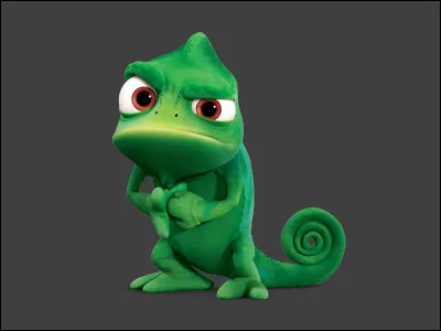 Who does this cute little cameleon belong to?