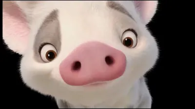 And who is the owner of this adorable pig?