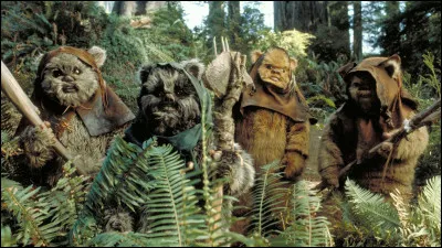 What planet are the Ewoks from?