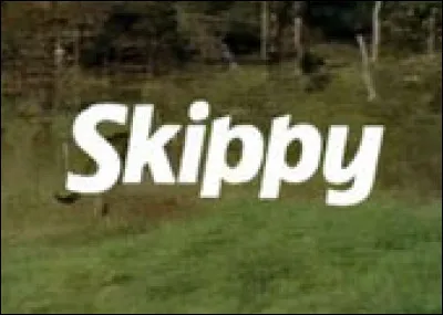 In a series from Australia, which animal is Skippy?
