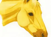 Quiz Galop 3 - La tête