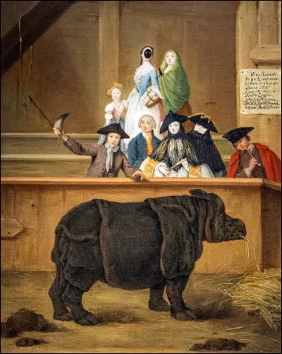 Who painted The Rhinoceros in 1751?