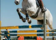 Quiz Es-tu prêt(e) pour passer ton Galop 3 ?