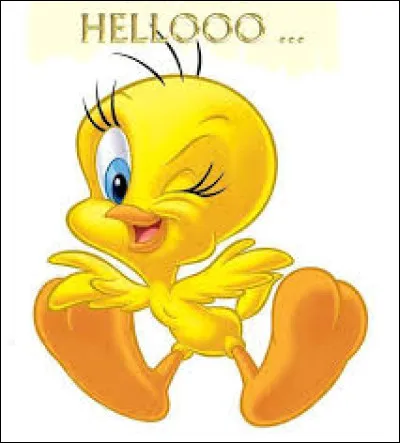 What is the name of the cat that wants to catch Titi, the little yellow canary?