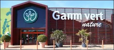 In what year was Gamm vert created?