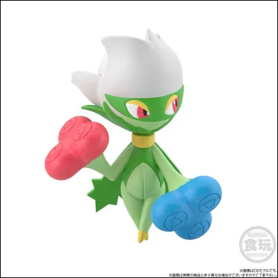 What is this Pokemon?