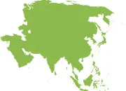 Test Quel plat asiatique devrais-tu goûter ?