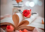 Quiz Les livres de mon grenier (2)