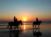 Quiz Galop 1 - équitation
