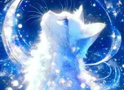 Test Quelle photo de chat élément auras-tu ?