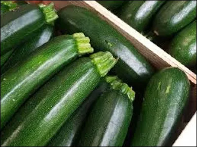 Zucchini is a vegetable.