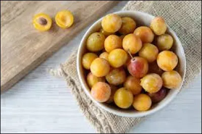 The mirabelle plum is a fruit specializing in Lorraine.