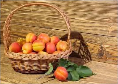 The apricot is a fruit that has the particularity of growing on the ground.