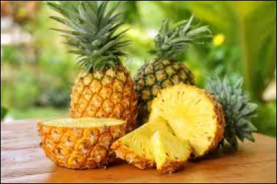 The pineapple grows on the tree called ananatier .