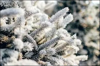 In the calendar, only one month has 28 days, and that's February.