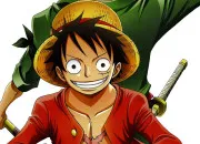 Test Ressembles-tu plus à Zoro ou à Luffy ?