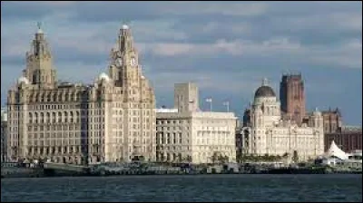 What is this large port city of 500,000 inhabitants, located at the mouth of the River Mersey on the Irish Sea?