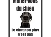 Quiz 13 animaux à deviner