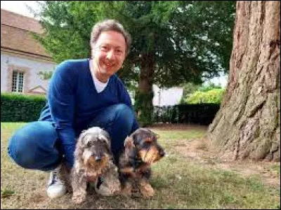 Stephane Bern lives with Mirza and Scoop, two dachshunds who are a :