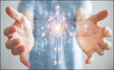 Which organ is enveloped by the lip?