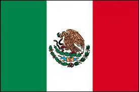 Which country does this flag belong to?