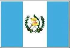 Which country does this flag belong to?