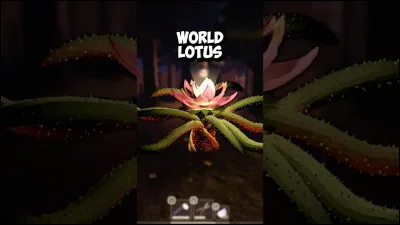 What does the lotus do?