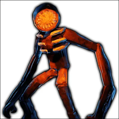 What is this entity?