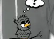 Quiz Questions en vrac (264)