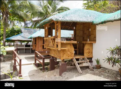 What shape inspired the design of the Bahay Kubos steep roof?