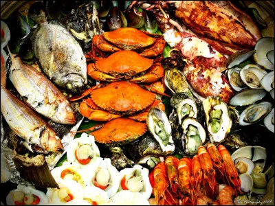 Which province is nicknamed the Seafood Capital of the Philippines?