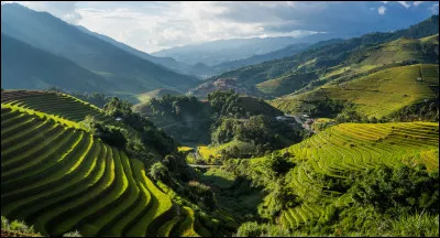 What are the famous rice terraces in the Philippines called?