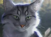 Quiz Reconnais le chat de ''LGDC'' sur l’image (4)