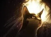 Quiz Reconnais le chat de ''LGDC'' sur l’image (5)