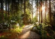 Quiz Culture générale (54)