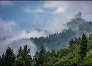 Quiz Culture générale (57)