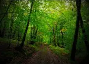 Quiz Culture générale (58)