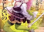 Test Image personnalisée n°5 : Mitsuri Kanroji