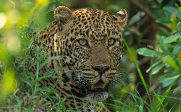 Quiz General knowledge