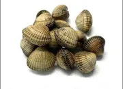 Quiz À la poissonnerie
