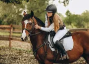Quiz L'équipement du cheval