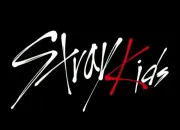 Quiz Qui est ce membre de Stray Kids ?