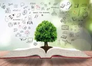 Quiz Culture générale (99)